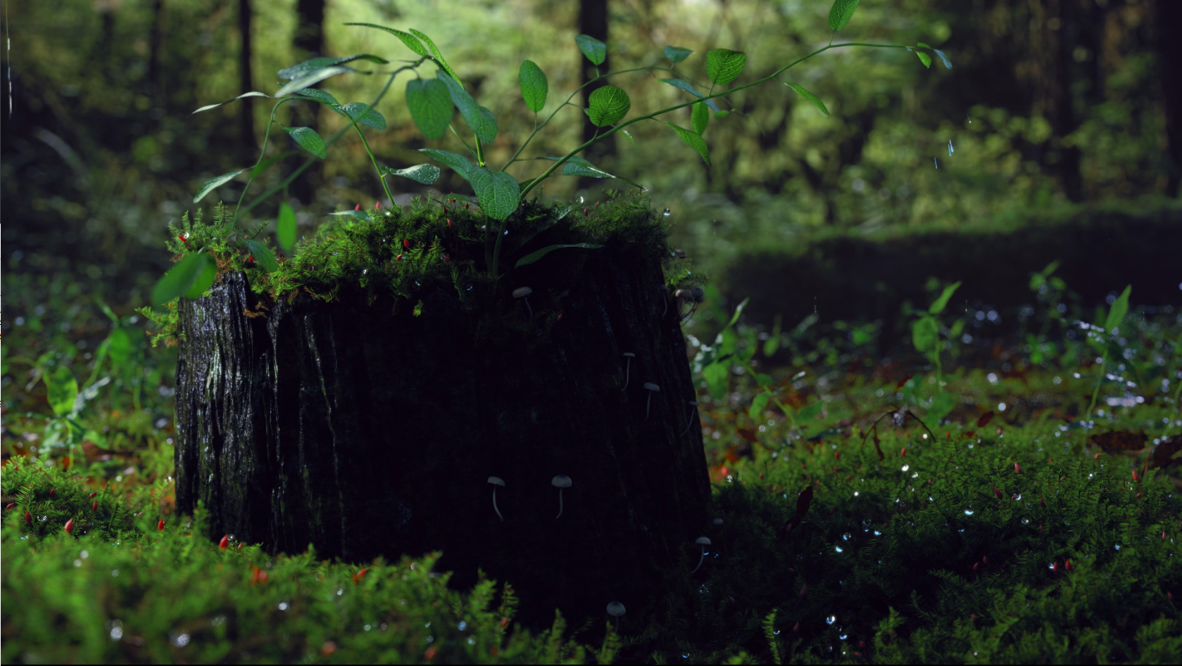 Rainy Forest Cinemagraph
